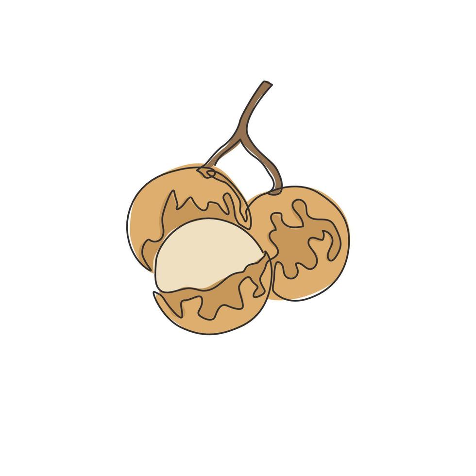 One single line drawing of whole and cut healthy organic longan for orchard logo identity. Fresh fruitage concept for fruit garden icon. Modern continuous line draw design vector graphic illustration