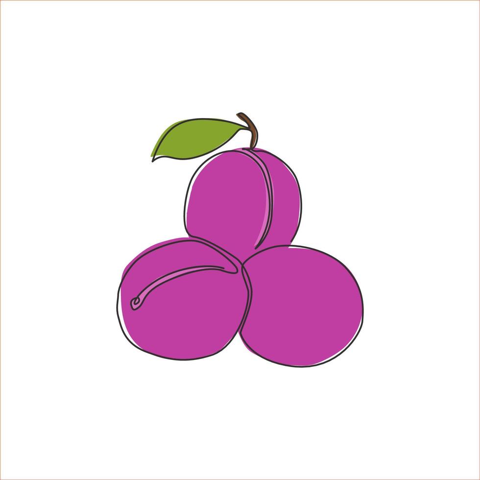 One single line drawing of whole healthy organic plum for orchard logo identity. Fresh fruitage concept for fruit garden icon. Modern continuous line draw design graphic vector illustration