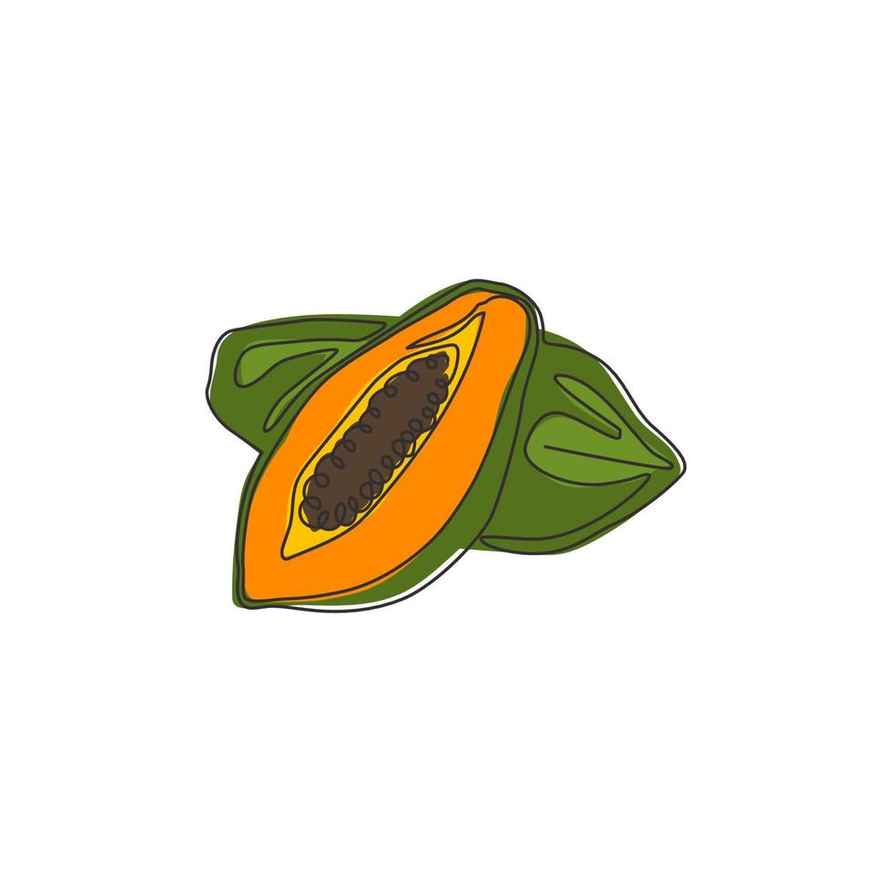 One continuous line drawing half sliced and whole healthy organic papayas for orchard logo. Fresh summer fruitage concept fruit garden icon. Modern single line draw design graphic vector illustration
