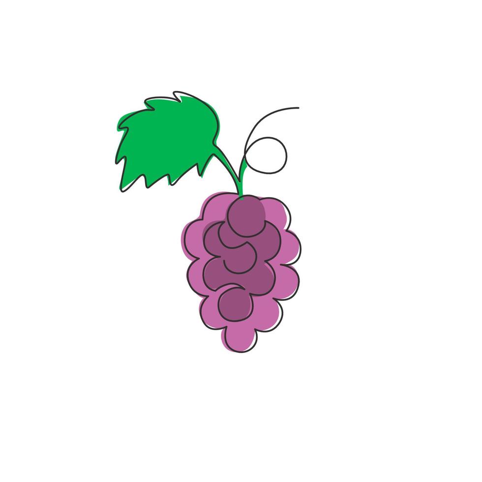 una línea continua dibujando uvas orgánicas saludables para la identidad del logotipo del viñedo. concepto de fruitage tropical fresca para el icono de jardín de huerto de frutas. Ilustración gráfica de vector de diseño de dibujo de una sola línea moderna