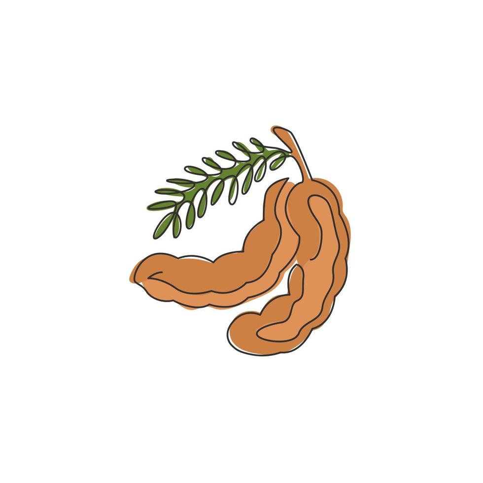 One continuous line drawing of whole healthy organic tamarind for orchard logo identity. Fresh fruitage concept for fruit garden icon. Modern single line draw design graphic vector illustration