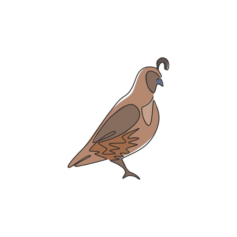 One continuous line drawing of cute California quail for farm logo identity. Highly sociable bird mascot concept for national park icon. Modern single line draw design graphic vector illustration