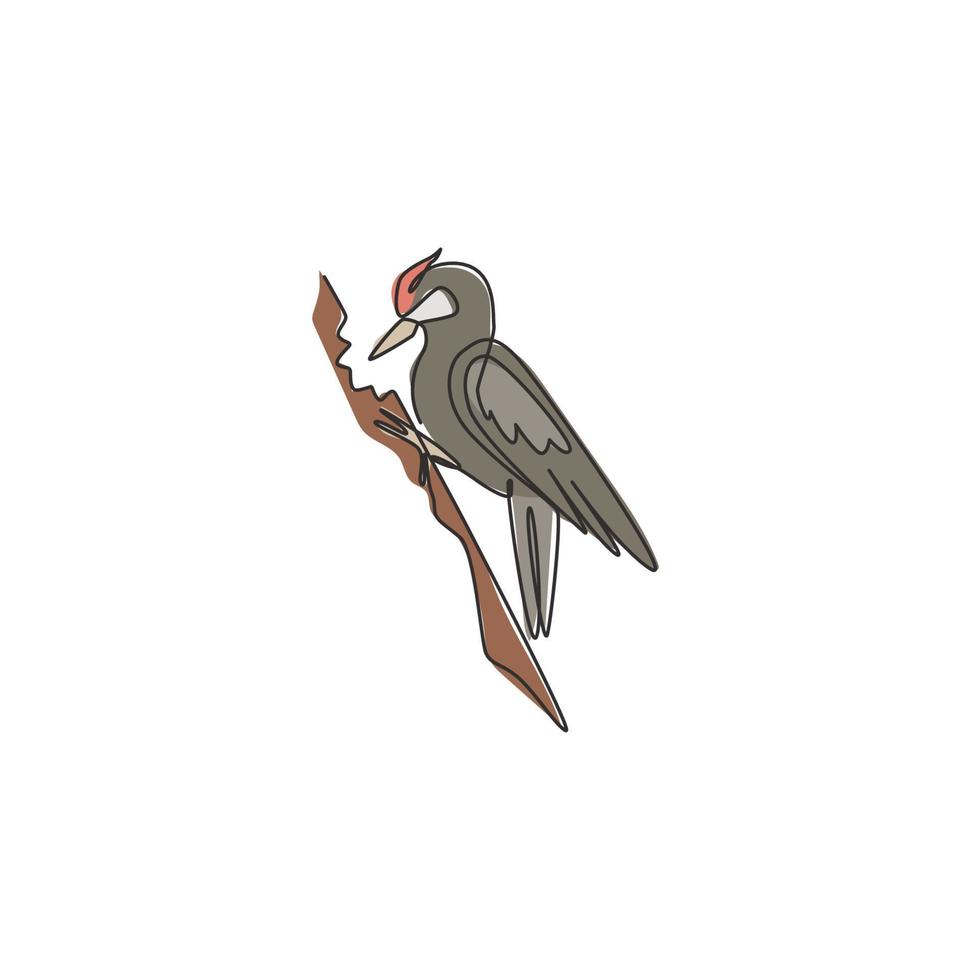 un dibujo de línea continua de un lindo pájaro carpintero en un árbol de madera. concepto de la mascota del pájaro del baterista del pico para el icono del zoológico nacional. Ilustración de vector gráfico de diseño de dibujo de una sola línea moderna
