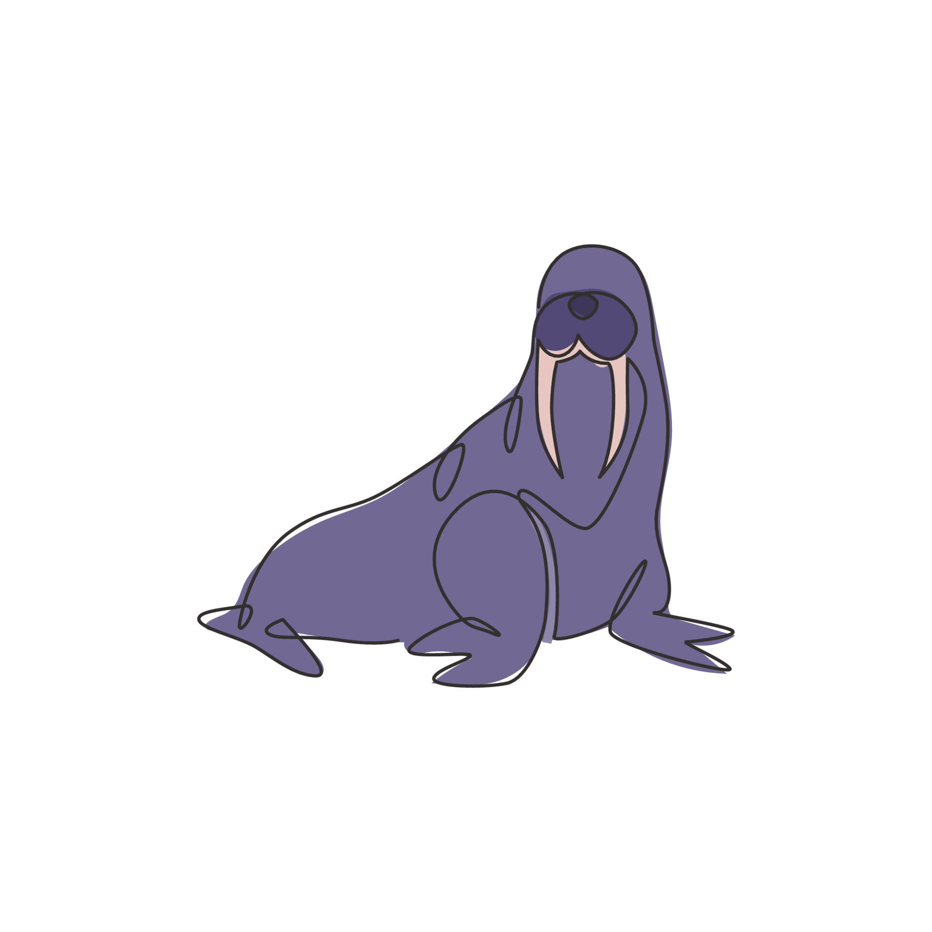 Walrus Huddles:  Why These Giant Mammals Crowd Together - zxb60r5