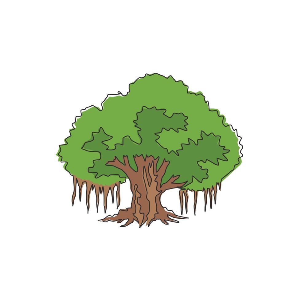 dibujo de una sola línea de gran árbol de higuera frondoso con sombra y belleza. concepto decorativo de la planta de ficus benghalensis para el logotipo del parque nacional. Ilustración gráfica de vector de diseño de dibujo de línea continua moderna