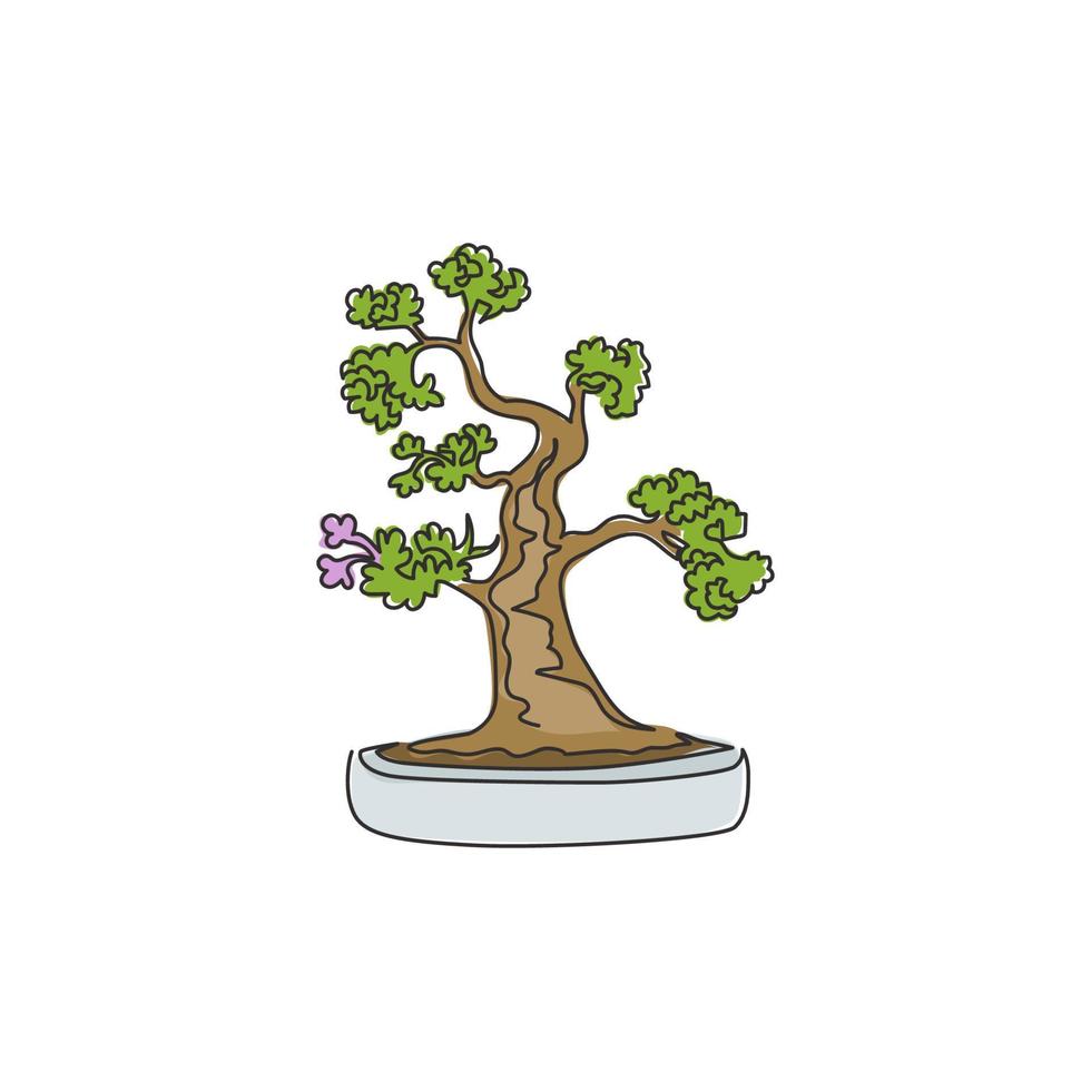 Single continuous line drawing of old beauty and charming exotic tiny bonsai tree. Decorative potted bend plant for greeting post card plant edition. Modern one line draw design vector illustration
