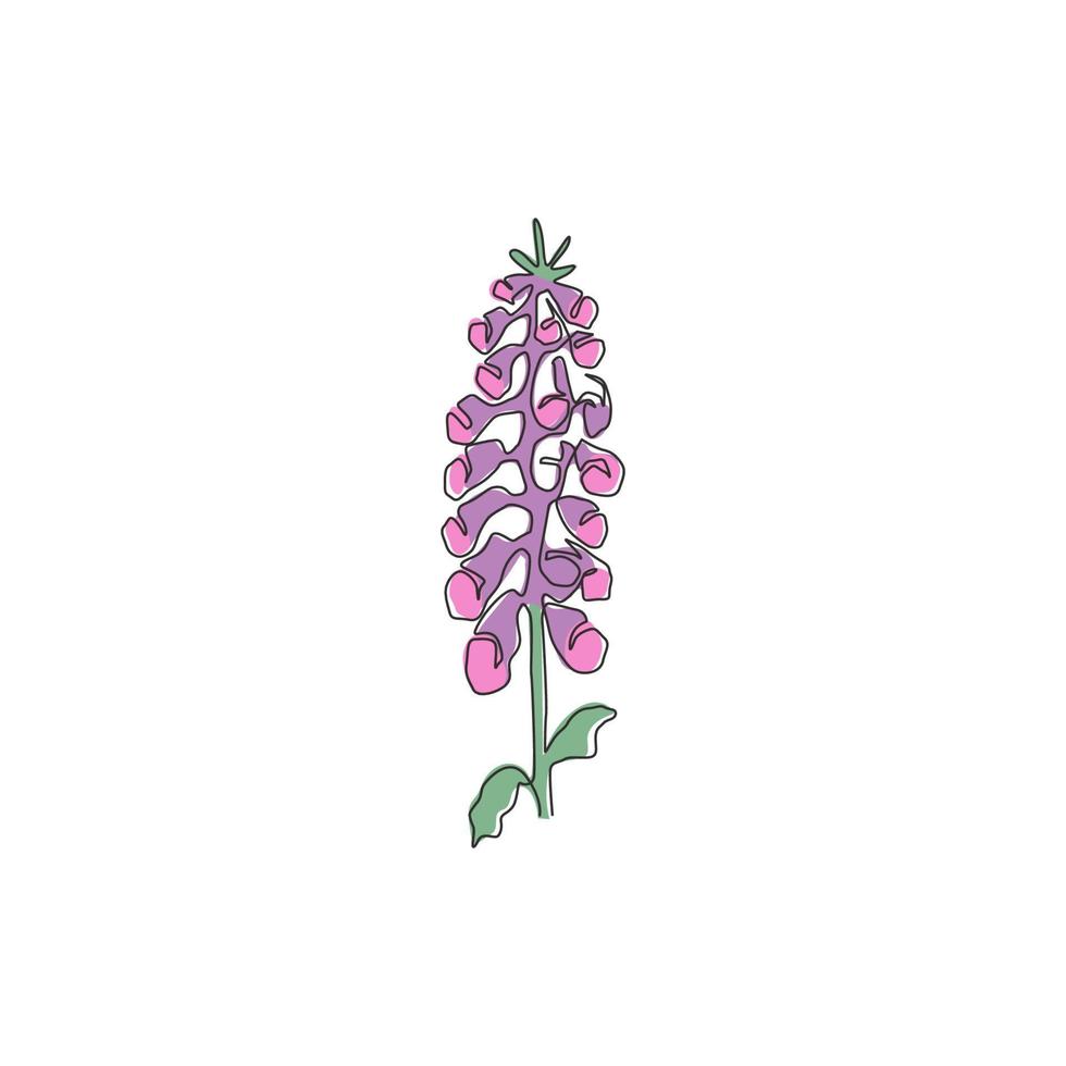 dibujo de una sola línea belleza dedalera fresca para el logotipo del jardín. concepto decorativo de la flor de digitalis purpurea para la impresión del arte del cartel de la decoración de la pared del hogar. Ilustración de vector de diseño de dibujo de línea continua moderna