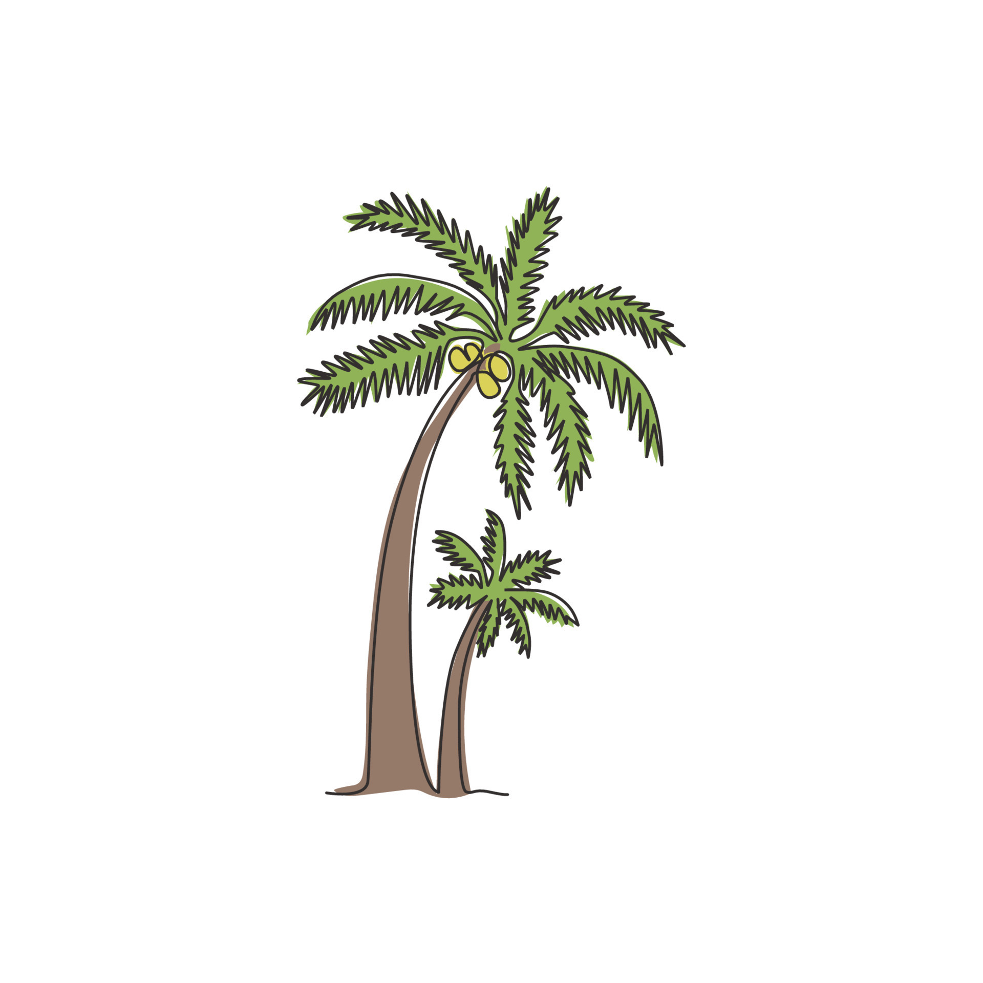 Coconut Tree Drawing