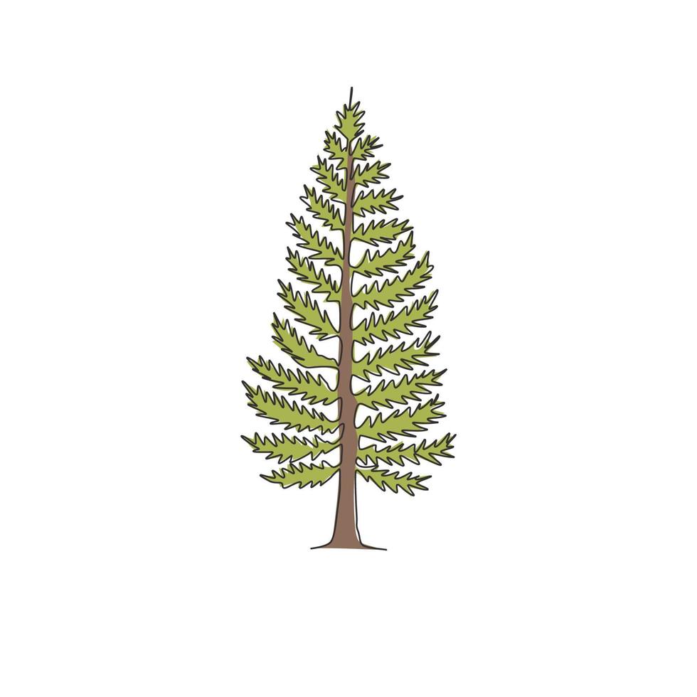 Un dibujo de línea continua de la belleza y el pino exótico para la decoración del hogar. Planta decorativa de pinus de coníferas altas para el logotipo del parque nacional. Ilustración de vector de diseño de dibujo de una sola línea