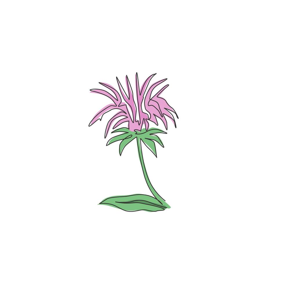 Single continuous line drawing of beauty fresh monarda for garden logo. Decorative horsemint oswago tea flower concept for floral invitation card frame. Modern one line draw design vector illustration