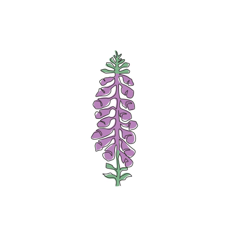 dibujo de una sola línea belleza dedalera fresca para el logotipo del jardín. concepto decorativo de la flor de digitalis purpurea para la impresión del arte del cartel de la decoración de la pared del hogar. Ilustración de vector de diseño de dibujo de línea continua moderna