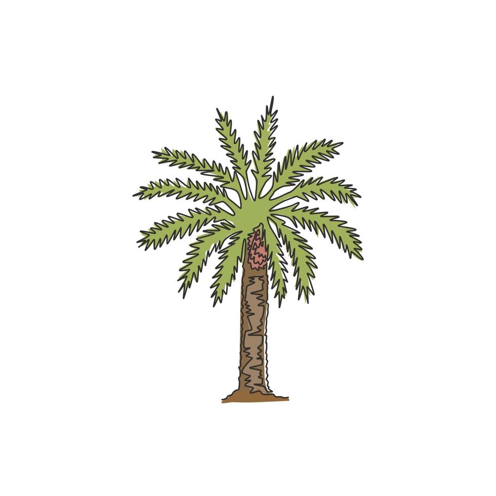 dibujo de una sola línea continua de la belleza y el gran árbol phoenix dactylifera. concepto decorativo de la planta de la palmera datilera para la impresión del cartel del arte de la pared de la decoración casera. Ilustración de vector de diseño de dibujo de una línea moderna