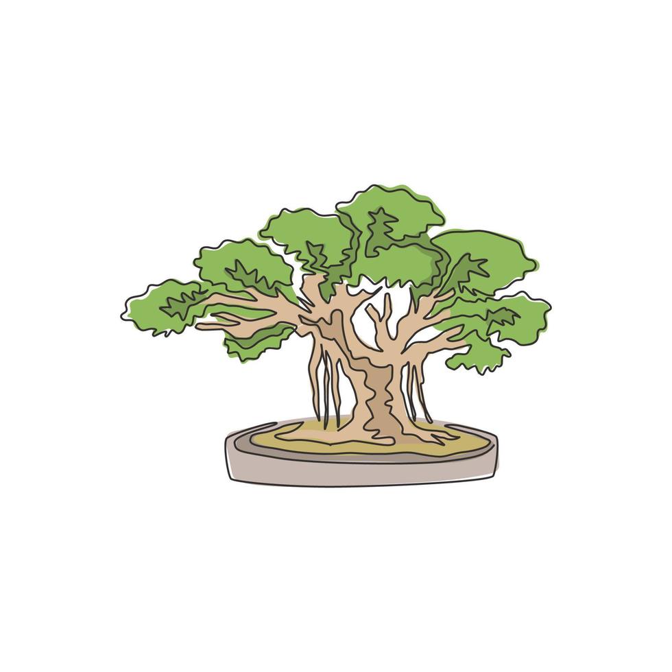 dibujo de una sola línea hermoso y exótico árbol bonsai japonés. pequeño árbol de higuera decorativo en concepto de árbol para tarjetas postales de felicitación. Ilustración de vector gráfico de diseño de dibujo de línea continua moderna