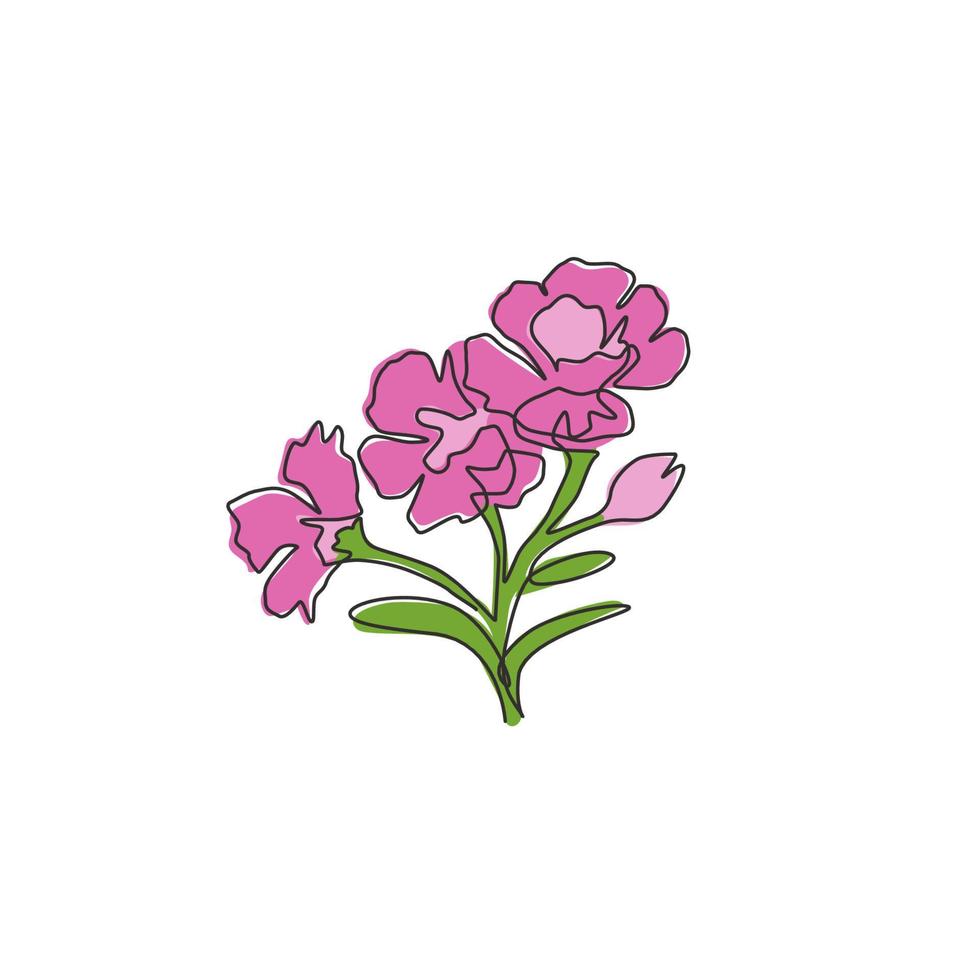 Un dibujo de línea continua Beauty Fresh Dianthus para la impresión de carteles de decoración de arte de pared del hogar. concepto decorativo de la flor de guillermo dulce para la tarjeta de invitación. Ilustración de vector de diseño de dibujo de línea única moderna