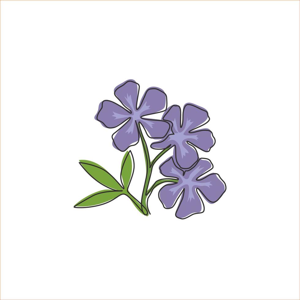 One continuous line drawing beauty fresh catharanthus for home wall decor art poster print Decorative periwinkle flower concept for wedding invitation card. Single line draw design vector illustration