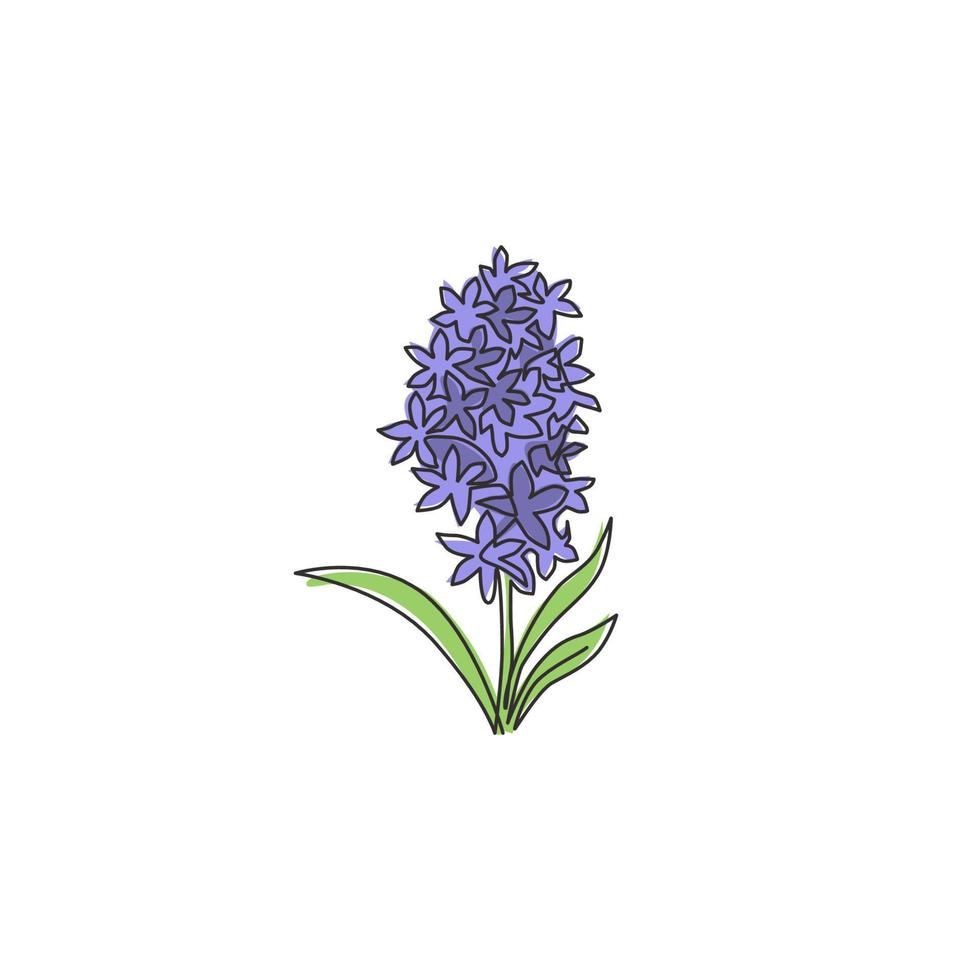 One continuous line drawing of beauty fresh hyacinthus for home wall decor poster art print. Decorative hyacinth flower concept for greeting card ornament. Single line draw design vector illustration