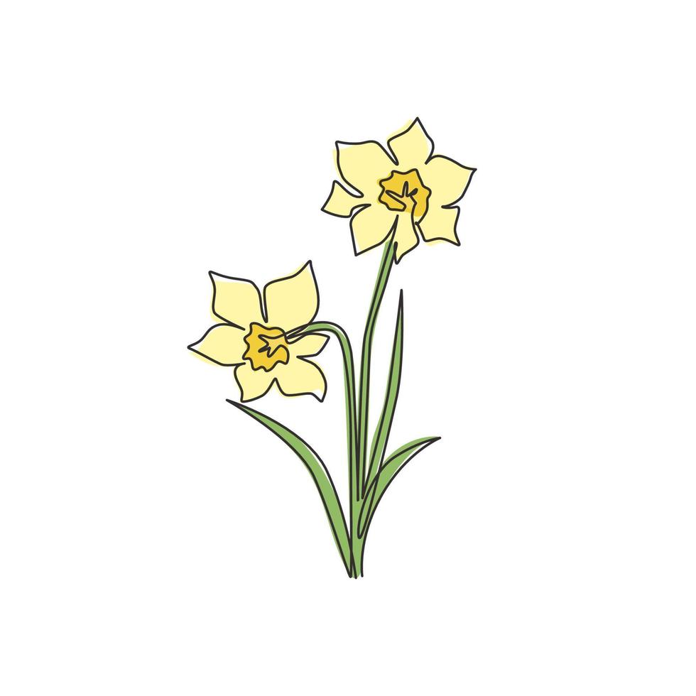 un dibujo de una sola línea del narciso fresco de la belleza para el logotipo del jardín. Concepto de flor de narciso decorativo imprimible para tarjeta de invitación de boda. Ilustración de vector de diseño de dibujo de línea continua de moda