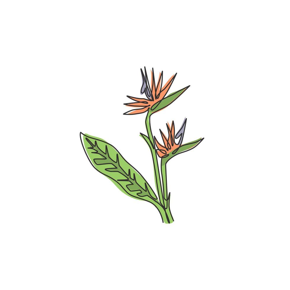 Un dibujo de línea continua Beauty Fresh Strelitzia para decoración de pared de arte para el hogar Impresión de póster. concepto decorativo de la flor del ave del paraíso para el parque verde. Ilustración de vector de diseño de dibujo de línea única moderna