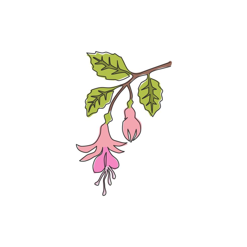 Dibujo de línea continua única de la flor fucsia fresca de la belleza para la impresión del cartel del arte de la pared de la decoración del hogar. Planta de arbustos decorativos para tarjeta de invitación floral. Ilustración de vector de diseño de dibujo de una línea moderna