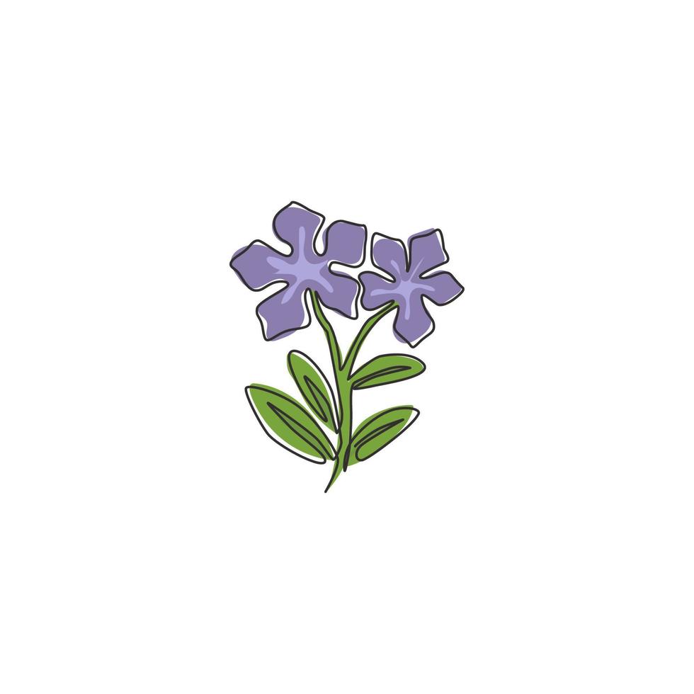 Un dibujo de línea continua Beauty Fresh Catharanthus para póster de decoración del hogar de arte de pared. concepto de flor de vincapervinca decorativa imprimible para el icono del parque. Ilustración de vector de diseño de dibujo de línea única moderna