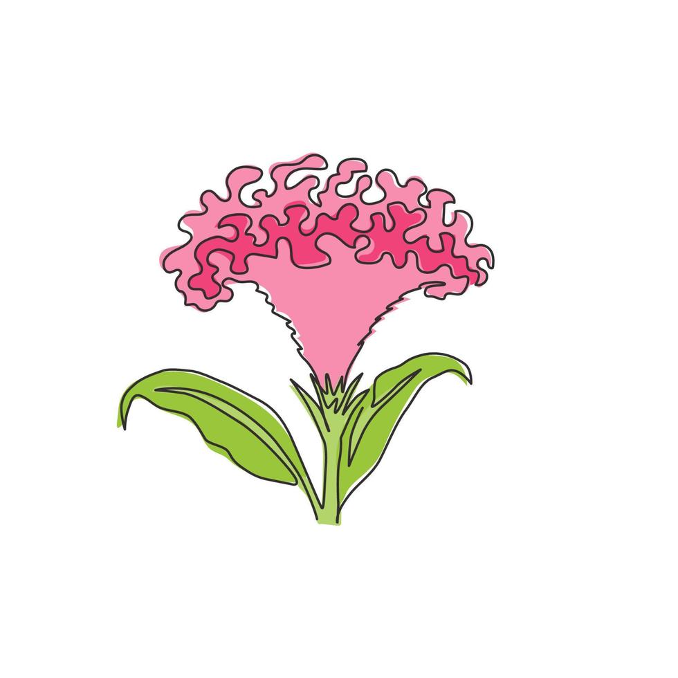 Un dibujo de línea continua de beauty fresh brain celosia para decoración del hogar, póster de impresión de arte de pared. Flor de cresta de gallo decorativa imprimible para parque verde. Ilustración de vector de diseño de dibujo de línea única moderna