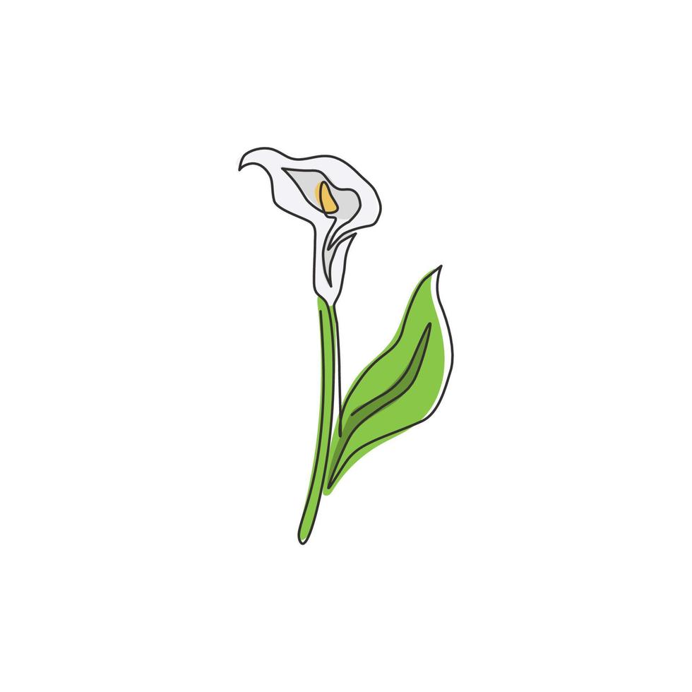 Dibujo de línea continua única de zantedeschia fresca de belleza para la decoración de la pared del hogar. Flor de lirio de arum decorativa imprimible para adorno de tarjetas de felicitación. Ilustración de vector de diseño de dibujo de una línea de moda