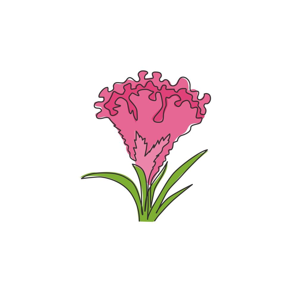 Dibujo de línea continua única Beauty Brain Celosia para decoración de arte de pared del hogar Impresión de póster. Flor de cresta de gallo decorativa imprimible para tarjeta de invitación de boda. Ilustración de vector de diseño de dibujo de una línea