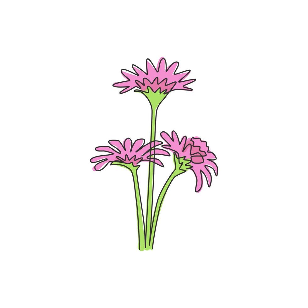 dibujo de línea continua única de asteraceae frescas de belleza para el logotipo de jardín. Concepto decorativo imprimible de la flor del aster para el cartel de la decoración del hogar del arte de la pared. Ilustración de vector de diseño de dibujo de una línea de moda