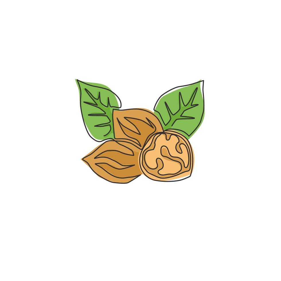 One single line drawing of whole healthy organic walnut food and leaves for orchard logo identity. Fresh nutshell concept for healthy seed icon. Modern continuous line draw design vector illustration