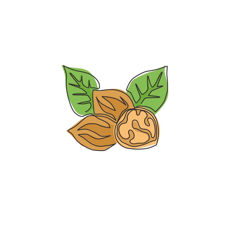 un dibujo de una sola línea de alimentos orgánicos saludables de nueces y hojas para la identidad del logotipo del huerto. concepto de cáscara de nuez fresca para el icono de semillas saludables. Ilustración de vector de diseño de dibujo de línea continua moderna