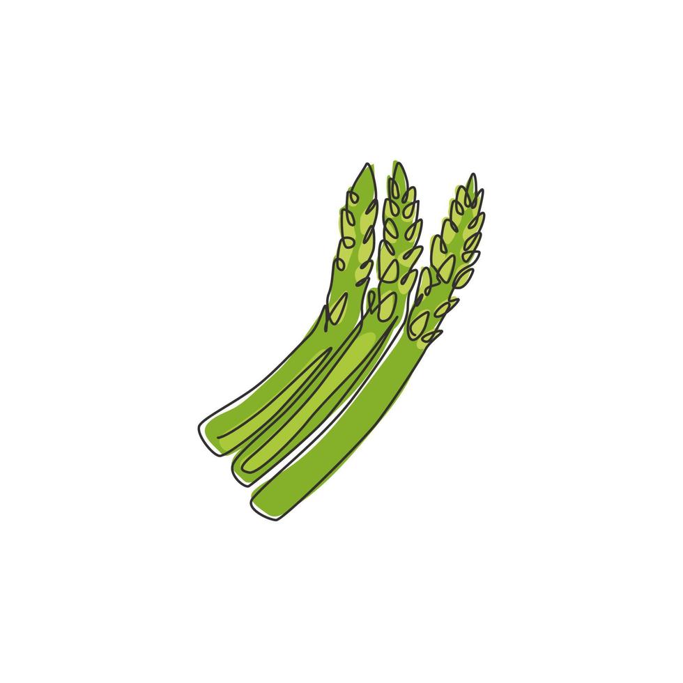 One continuous line drawing of whole healthy organic asparagus for garden logo identity. Fresh sparrow grass concept for vegetable icon. Modern single line draw design vector graphic illustration