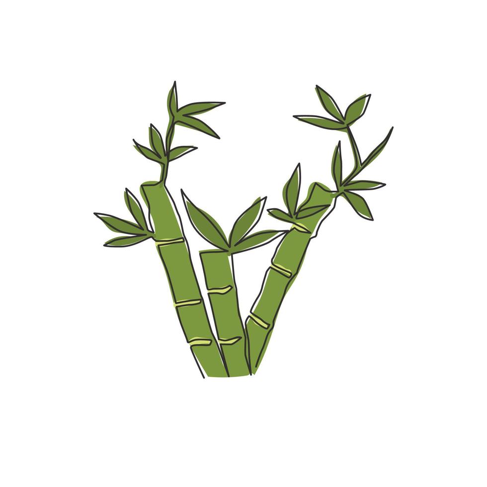 One continuous line drawing of bamboo trees for plantation logo identity. Fresh evergreen perennial flowering plant concept for plant icon. Modern single line draw design graphic vector illustration