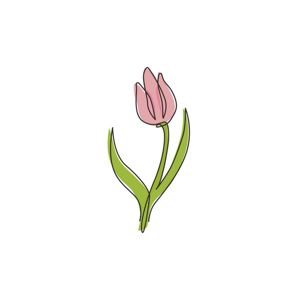 un dibujo de una sola línea del tulipán fresco de la belleza para el logotipo del jardín. decorativo holanda nacionalidad flor concepto hogar pared decoración cartel impresión arte. Ilustración de vector de diseño de dibujo de línea continua moderna