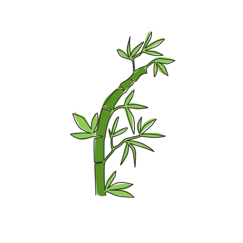 un dibujo de una sola línea de árboles de bambú para la identidad del logotipo de la plantación. concepto de planta con flores perennes de hoja perenne fresca para el icono de la planta. Ilustración gráfica de vector de diseño de dibujo de línea continua moderna