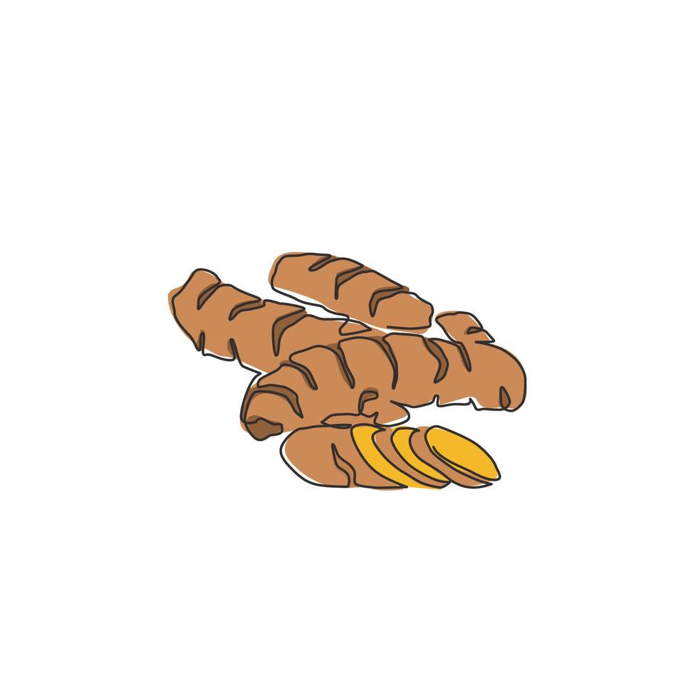 One continuous line drawing of whole healthy organic turmeric for farm logo identity. Fresh curcuma concept for vegetable icon. Modern single line draw design graphic vector illustration