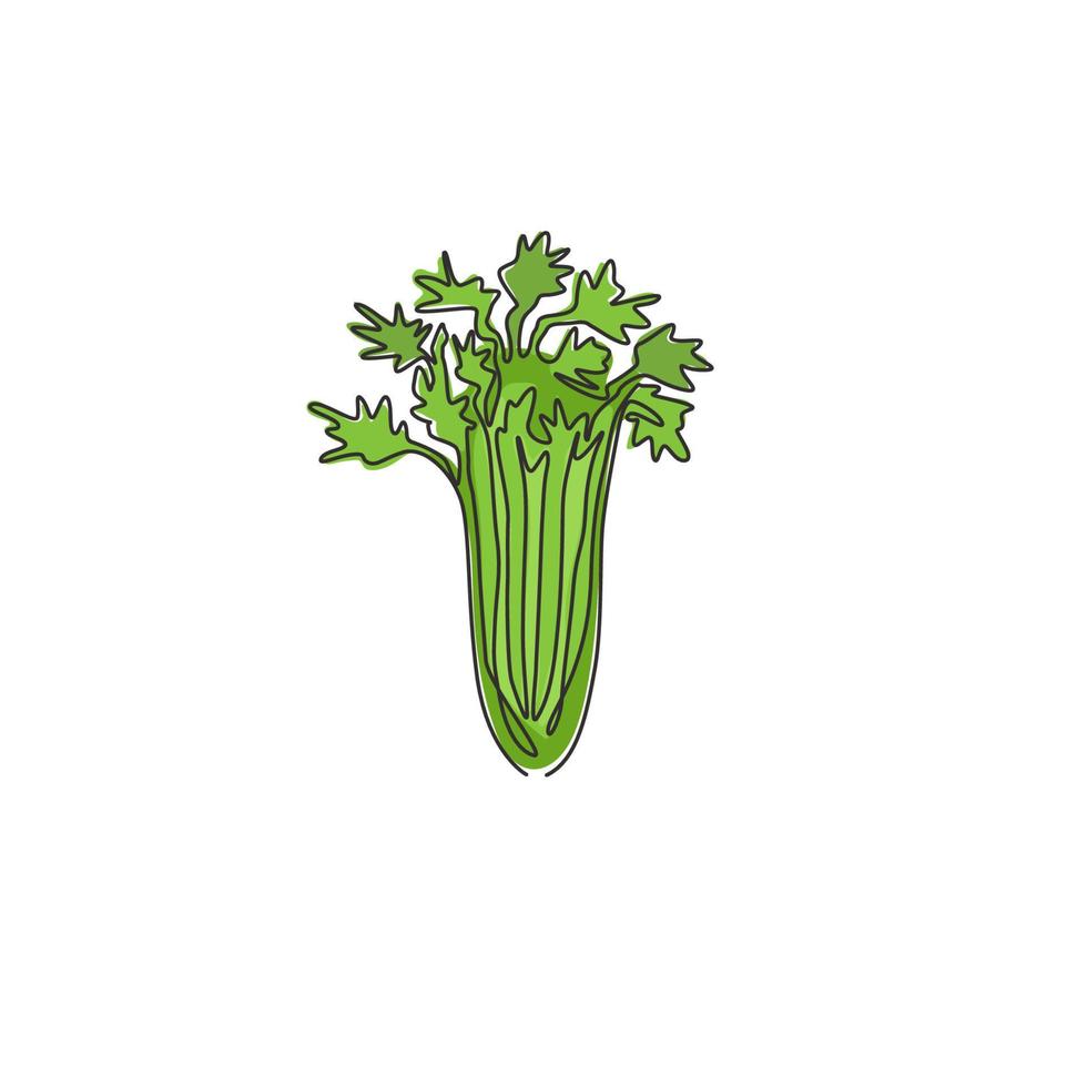 One continuous line drawing of bunch healthy organic green celery for