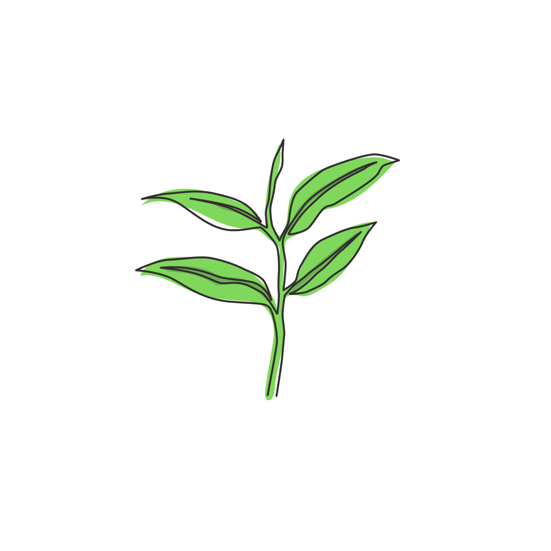 One single line drawing healthy organic tea leaves for plantation logo