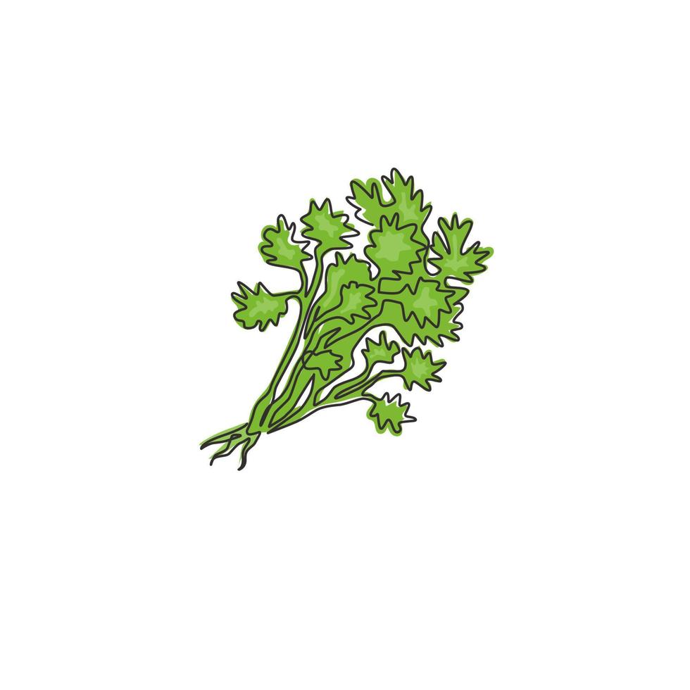 Single continuous line drawing of tied bunch healthy organic coriander leaf for logo identity. Fresh cilantro concept for vegetable icon. Modern one line draw design vector graphic illustration