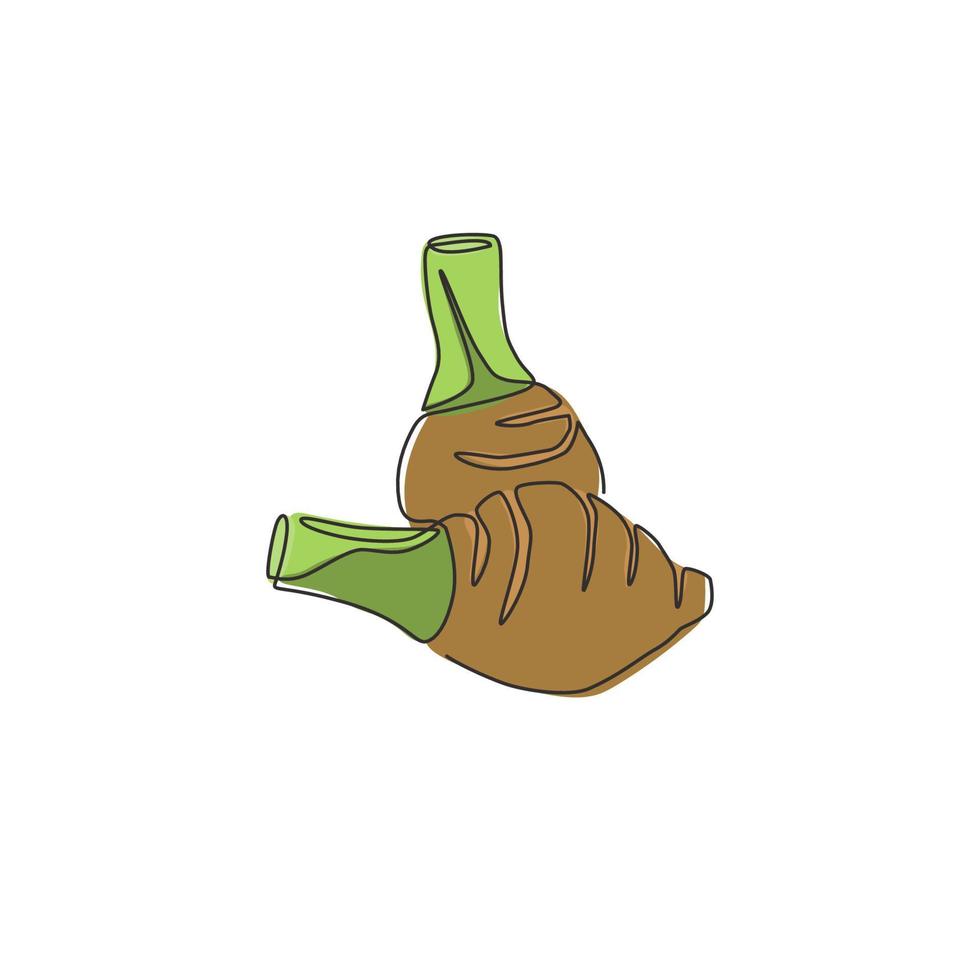 One continuous line drawing of whole healthy organic taro for farm logo identity. Fresh tropical plant edible corm concept for root vegetable icon. Modern single line draw design vector illustration