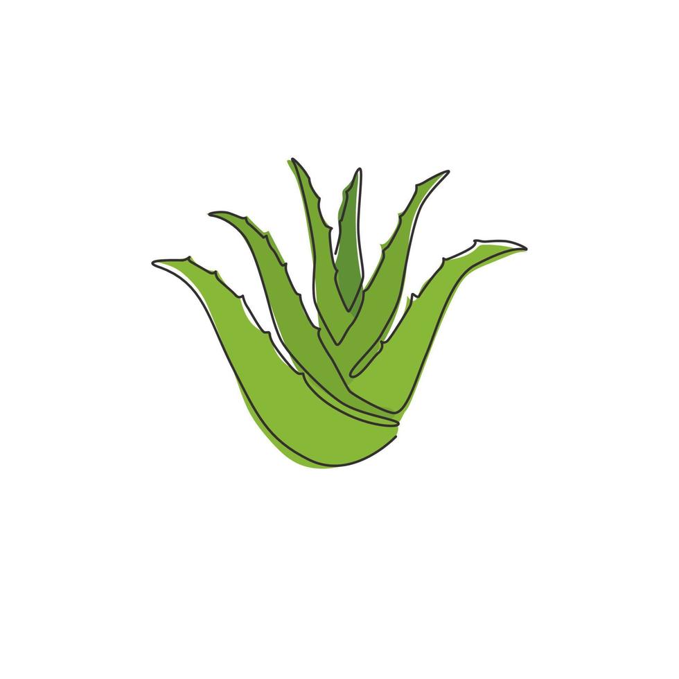 un dibujo de una sola línea de aloe vera verde orgánico saludable para la identidad del logotipo de la granja. concepto de planta suculenta tropical fresca para icono agrícola. Ilustración de vector de diseño de dibujo de línea continua moderna