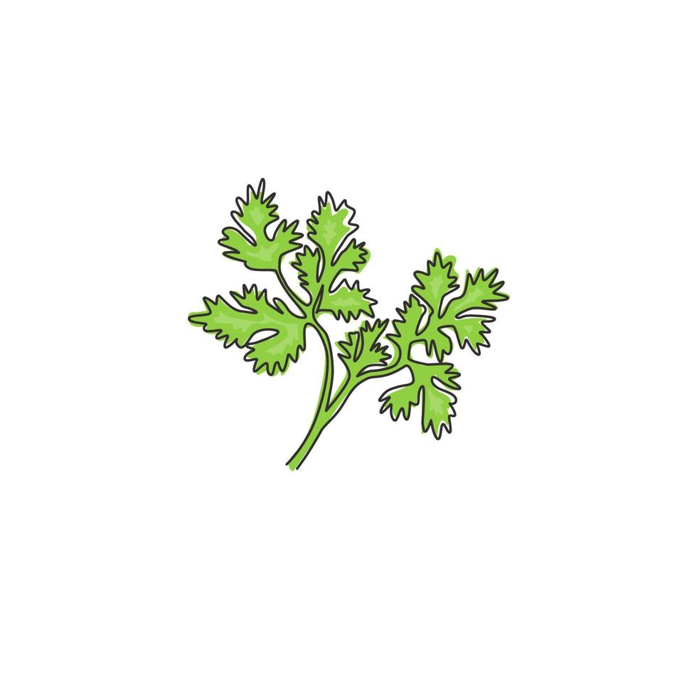 un dibujo de línea continua de una hoja de cilantro orgánico saludable para la identidad del logotipo de la granja. concepto de perejil chino fresco para icono vegetal. Ilustración de vector gráfico de diseño de dibujo de una sola línea moderna