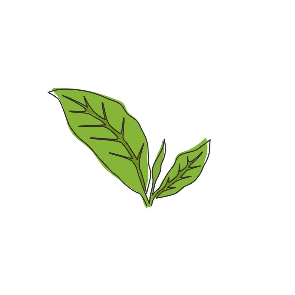 Single continuous line drawing healthy organic tea leaves for plantation logo identity. Fresh tender bud of tea shoot concept for tea leaf icon. Modern one line draw graphic design vector illustration