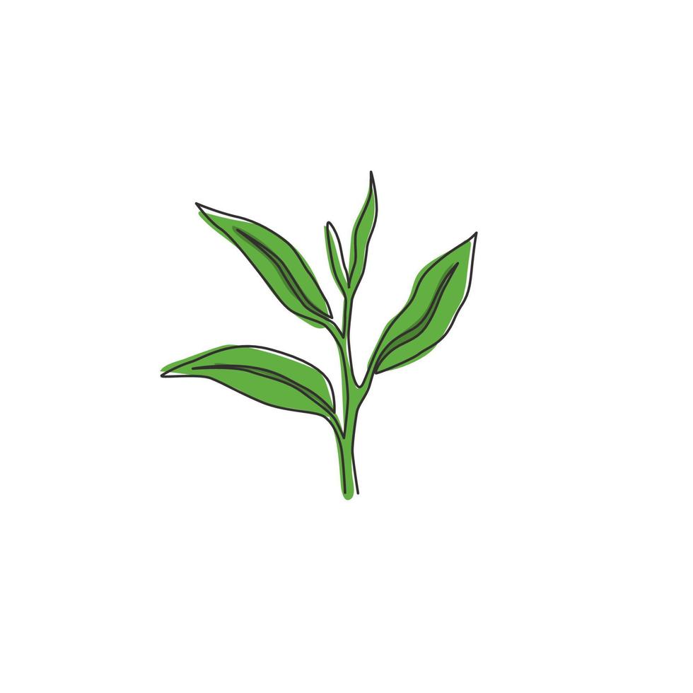 un dibujo de línea continua de una hoja de té orgánico saludable para la identidad del logotipo de la bebida a base de hierbas. concepto de naturaleza fresca para el icono de la plantación de té. Ilustración gráfica de vector de diseño de dibujo de una sola línea moderna