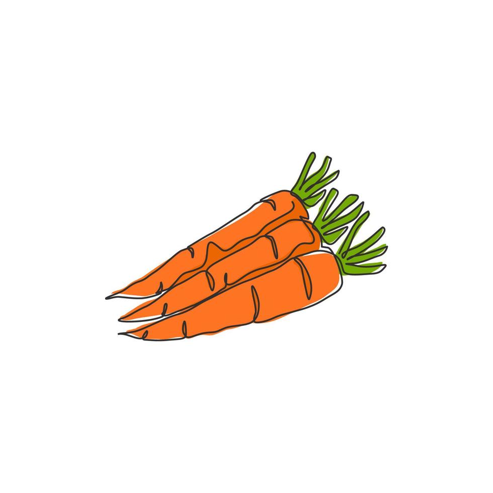 One continuous line drawing whole healthy organic carrots group for farm logo identity. Fresh biennial plant concept for root vegetable icon. Modern single line draw design vector graphic illustration