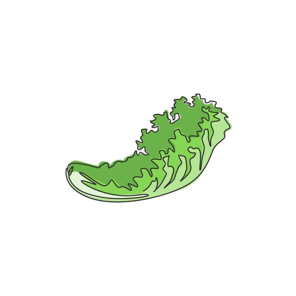 una línea continua dibujando una hoja de lechuga verde orgánica y saludable para la identidad del logotipo de la granja. concepto de ingrediente de ensalada fresca icono vegetal. Ilustración gráfica de vector de diseño de dibujo de una sola línea moderna