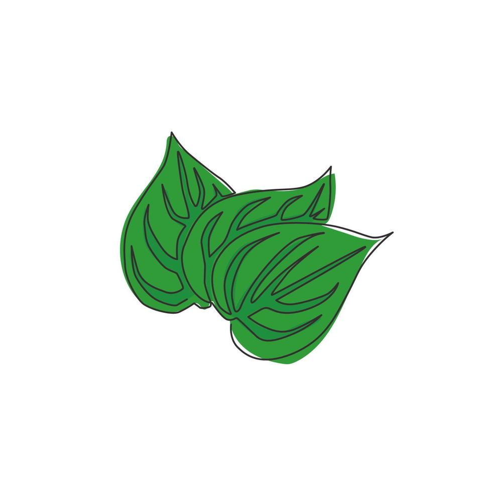 un dibujo de una sola línea de la pila de hojas de betel orgánicas saludables para la identidad del logotipo de la granja. concepto de utilidad de ambientador de boca para icono de planta. Ilustración gráfica de vector de diseño de dibujo de línea continua moderna