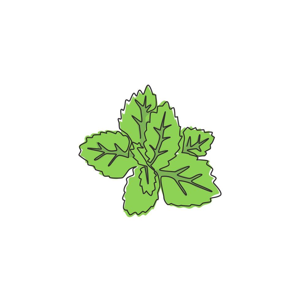 un dibujo de una sola línea de hojas de menta orgánica saludables para la identidad del logotipo de la granja. concepto de planta de lamiaceae fresca para icono de plantación. Ilustración de vector de diseño de dibujo gráfico de línea continua moderna