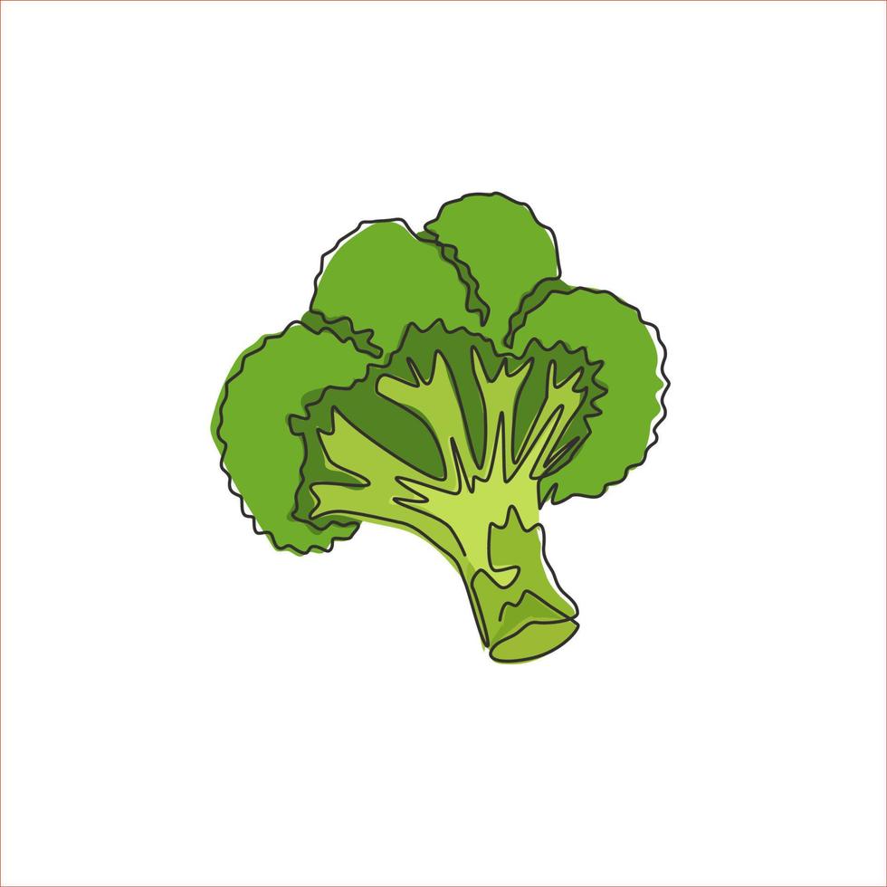 One single line drawing whole healthy organic green broccoli for farm logo identity. Fresh edible green plant concept for vegetable icon. Modern continuous line draw design vector graphic illustration