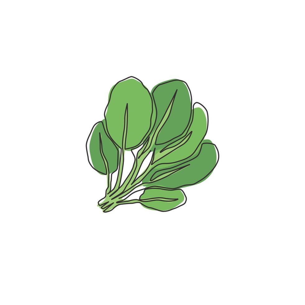 una sola línea dibujando hojas de espinacas verdes orgánicas saludables enteras para la identidad del logotipo de la granja. concepto de planta fresca para el icono de vegetales comestibles. Ilustración gráfica de vector de diseño de dibujo de línea continua moderna