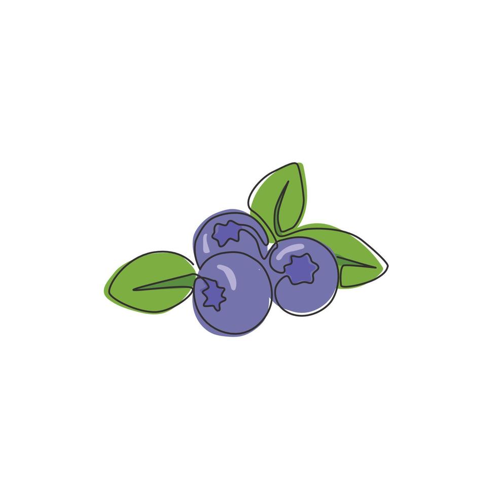 un dibujo de una sola línea de arándanos orgánicos saludables enteros para la identidad del logotipo del huerto. concepto de fruitage de bayas azules frescas para el icono de jardín de frutas. Ilustración de vector de diseño de dibujo de línea continua moderna